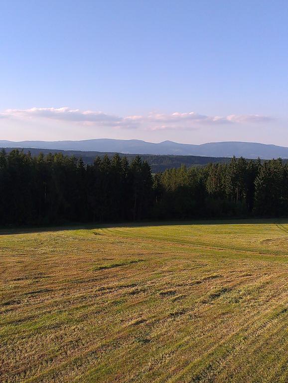 Penzion Pod Vyhlidkou Pecka Exterior photo